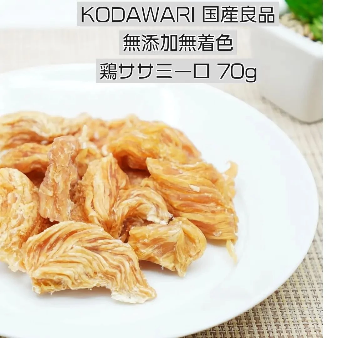 画像6237