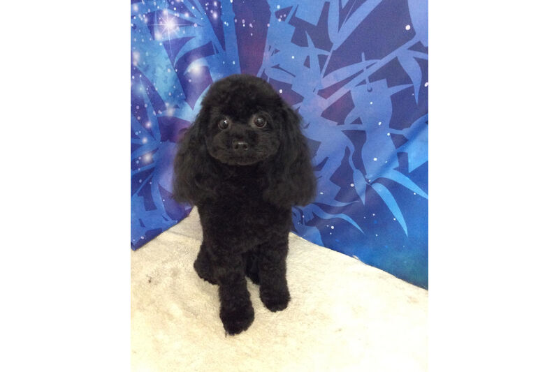 画像6435