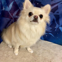 画像6477