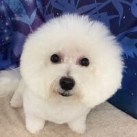 画像6483