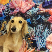 画像6771