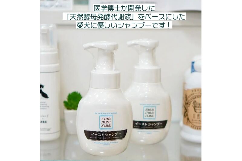 画像6785