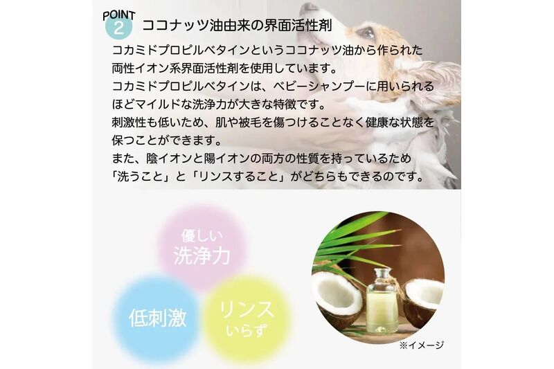 画像6786