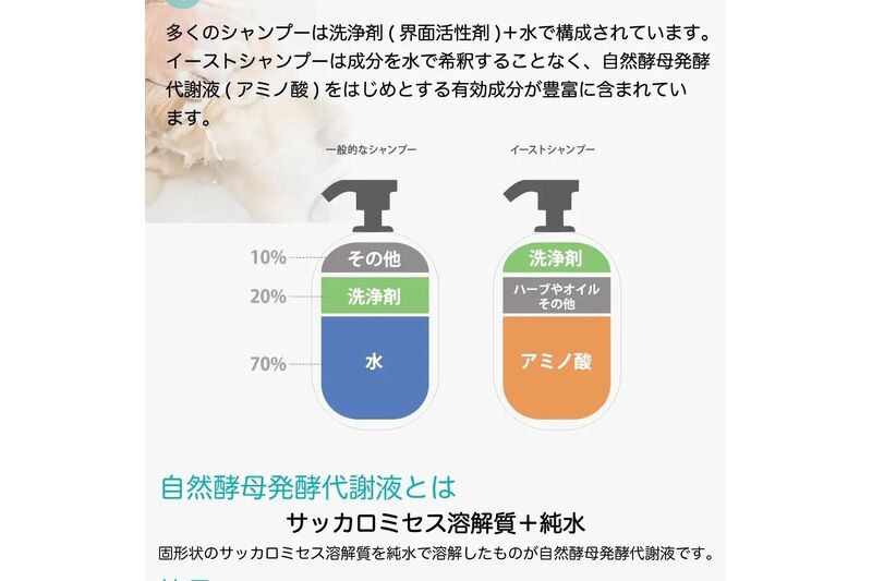 画像6787