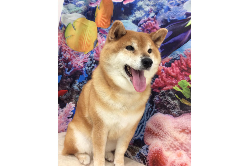 画像6909