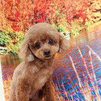 画像7126