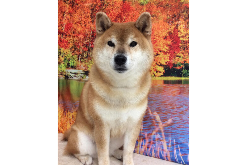 画像7268