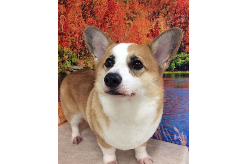 画像7500