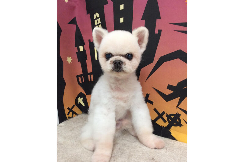 画像7913