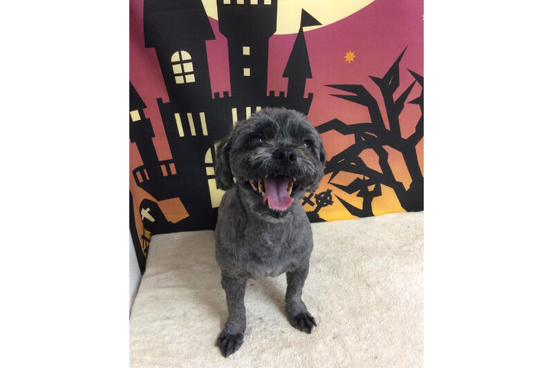 画像8163