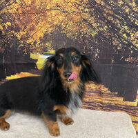 画像8506