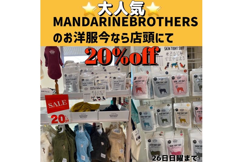 画像8639