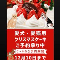 画像8818