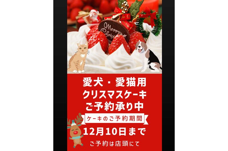画像8818