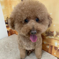 画像8932
