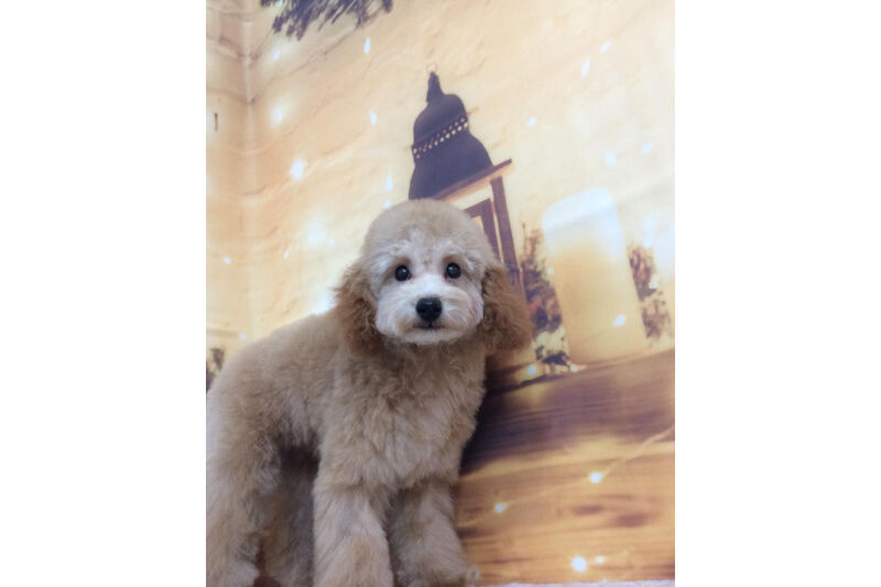 画像9011