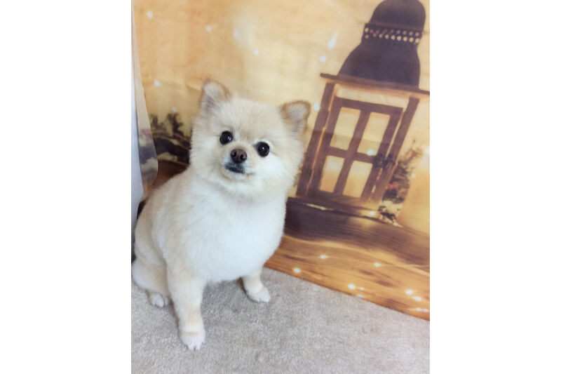 画像9048