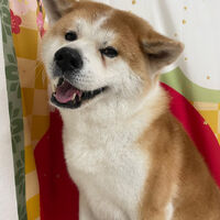 画像9335