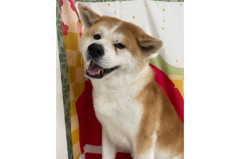 画像9335