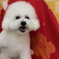 画像9339