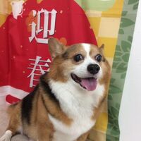画像9363