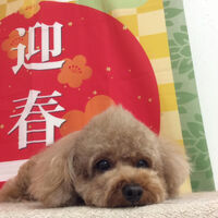画像9391