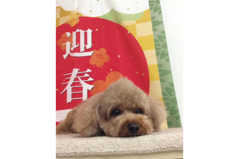 画像9391