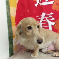 画像9394