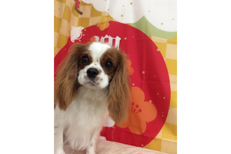 画像9426