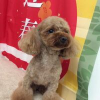 画像9474