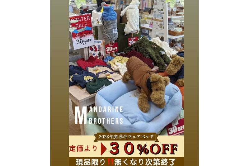 画像9529