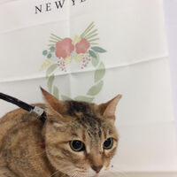 画像9555