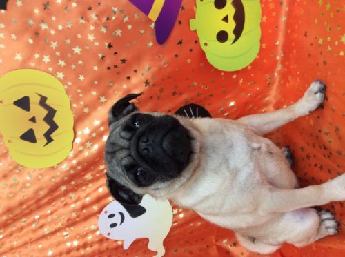 34e5bbd8-dd20-4232-b226-845a2fd034cb