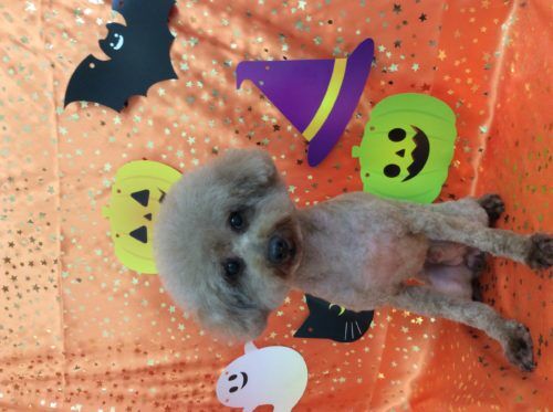 94c6acfa-2417-44c3-9cd8-21f44a4c9023