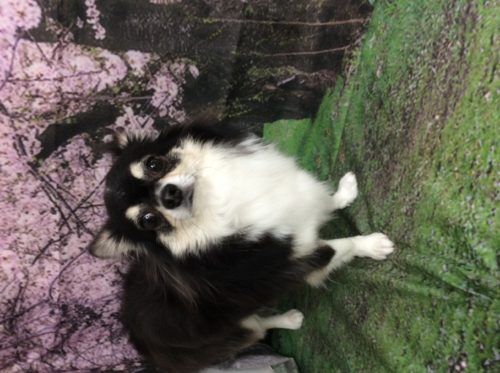 c7a9ce85-0e7b-47bb-952e-9493dfdf7840