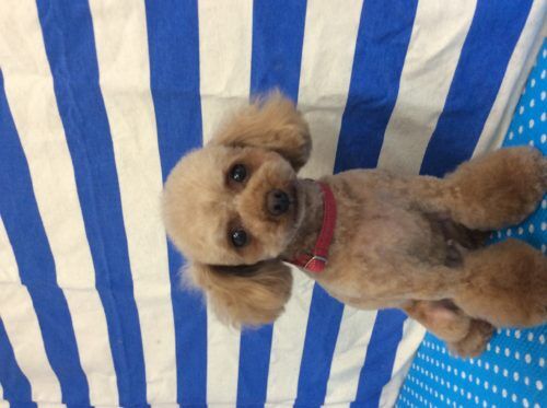 b4e99c85-1b1e-4278-a83d-695a46b21fa4