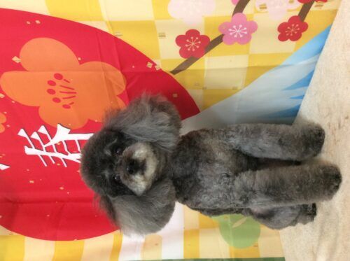 02c7fabf-91b7-4861-aefd-3398023a5524