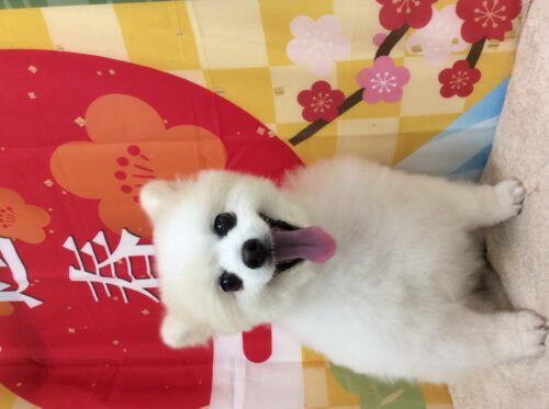 77201b91-acf9-4974-8721-e625d8fab916