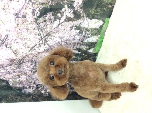 1bcb78a9-33ab-48ae-800d-8b6710c0ec44