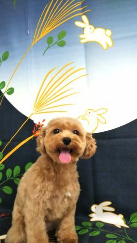 img_20180908_184049