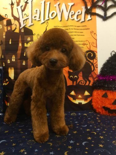 39fc1b7c-c33c-44e5-b07d-5040ebbd2d49