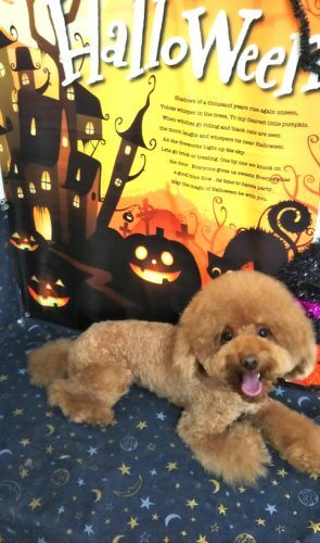 img_20181018_125018
