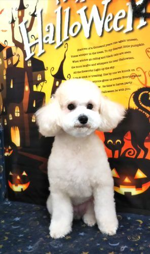 img_20181022_120438