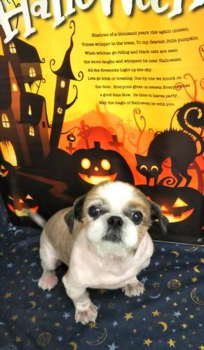 img_20181029_110654