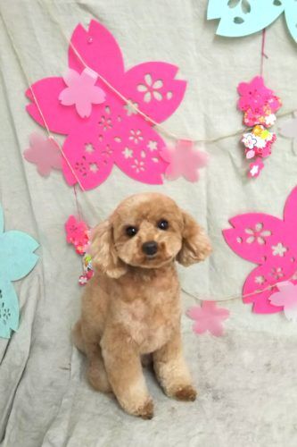 img_20190326_111142