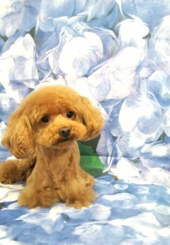 img_20190608_143634