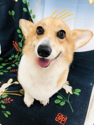 c9b4a72c-cca8-4afe-9d54-65d37948c242