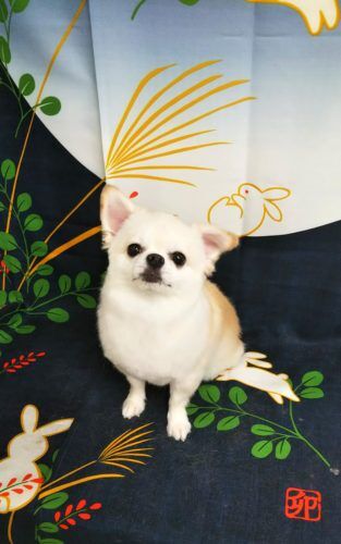 img_20190908_145358