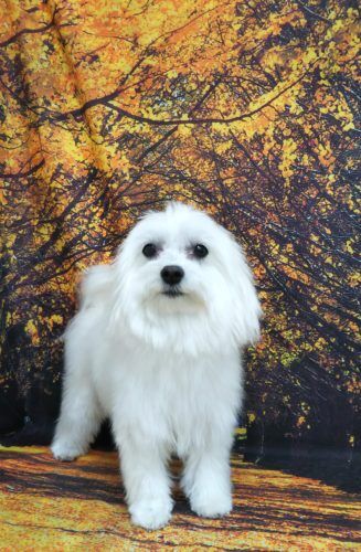 img_20191105_160907