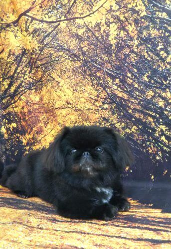 img_20191118_104356
